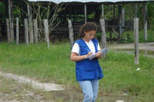 Minerva Vitti Mano Amiga Historias de Éxito